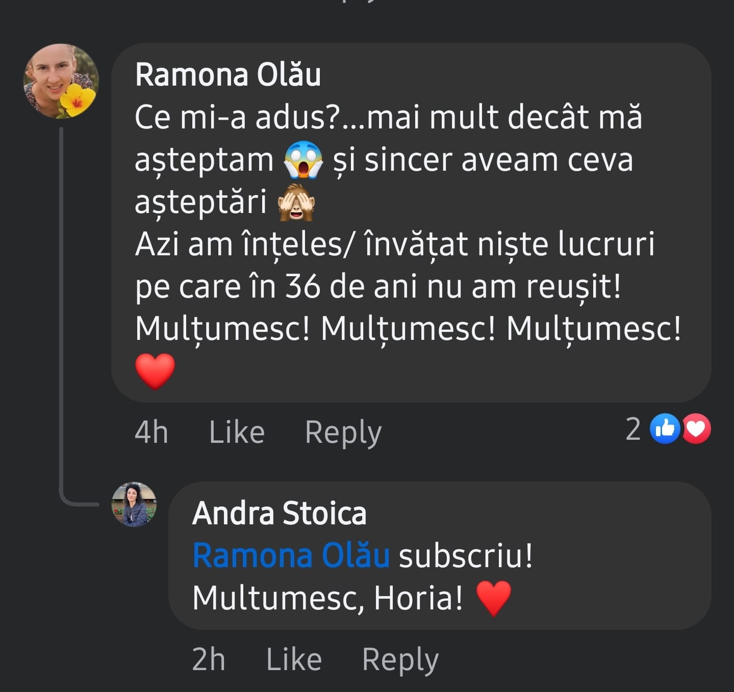 Testimonial Horia Radu